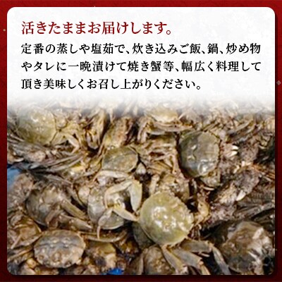 石狩川・江別産　天然もくず蟹　オス・メス混合　2kg(8杯前後)