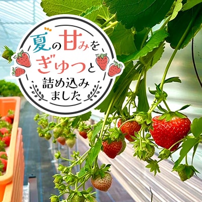 【北海道江別市】キタイチゴ農園　いちごみるくのもと3本セット