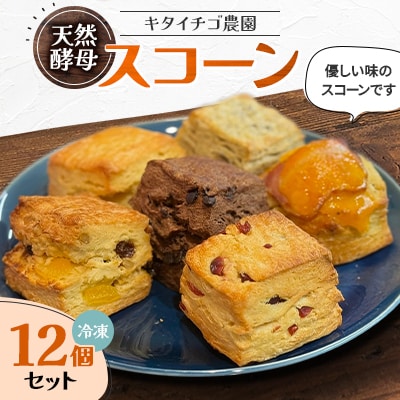 �y�k�C���]�ʎs�z�L�^�C�`�S�_���@�X�R�[��12�Z�b�g(�Ⓚ)