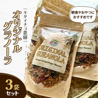 【北海道江別市】キタイチゴ農園　オリジナルグラノーラ3袋セット