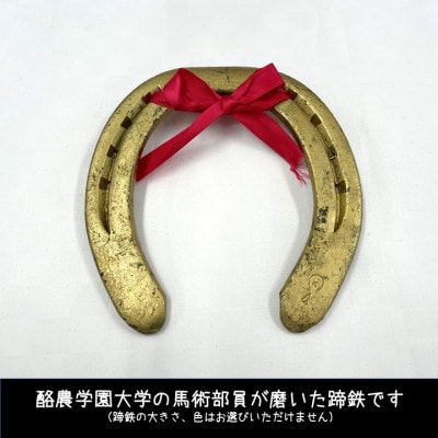 【酪農学園大学】馬術部の蹄鉄(ポストカード・キーホルダー付き)