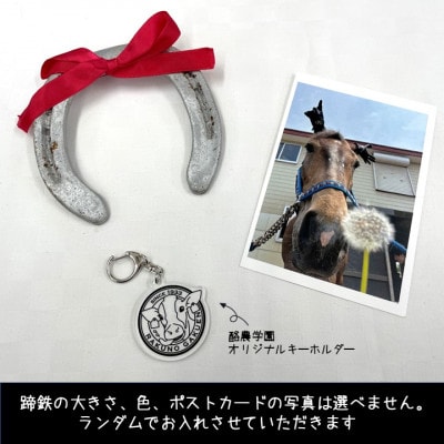 【酪農学園大学】馬術部の蹄鉄(ポストカード・キーホルダー付き)