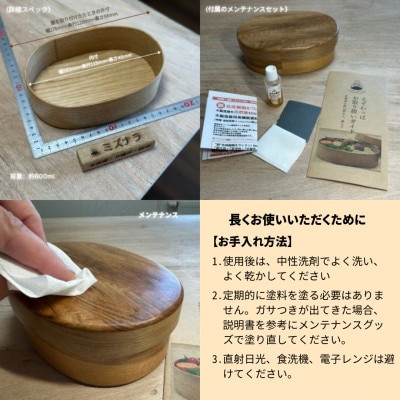 【北海道江別市】えぞわっぱ(ミズナラ)