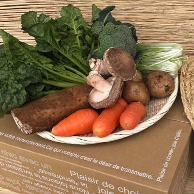 【ハーフサイズ】『身体が喜ぶ野菜』詰め合わせ(6～7品)