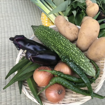 【ハーフサイズ】『身体が喜ぶ野菜』詰め合わせ(6～7品)