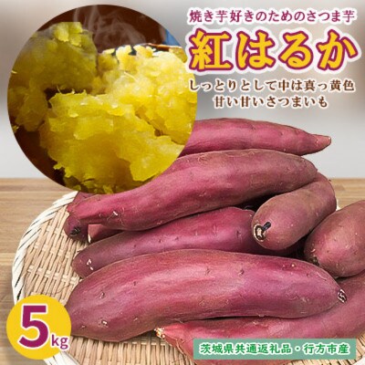 茨城県共通返礼品・行方市産 焼き芋好きのためのさつま芋 紅はるか5kg