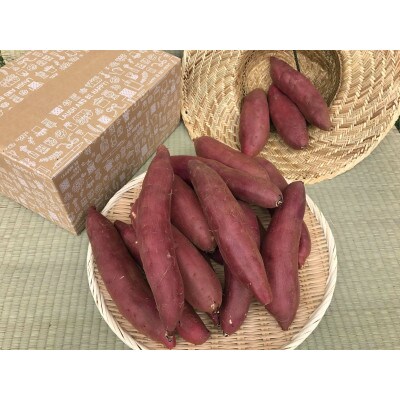 茨城県共通返礼品・行方市産 焼き芋好きのためのさつま芋 紅はるか5kg