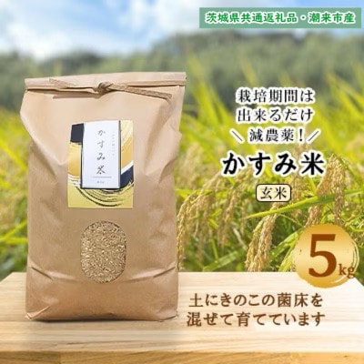 令和6年産　栽培期間出来るだけ農薬を減らして作る「かすみ米」玄米5kg茨城県共通返礼品・潮来市産