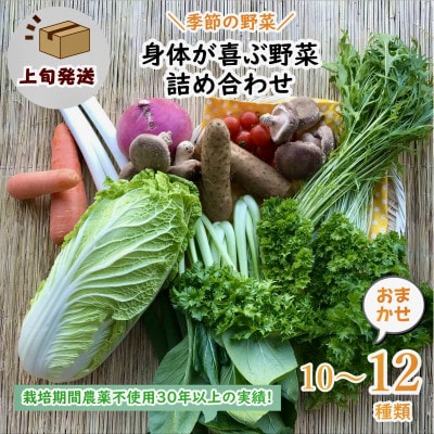 【発送月固定定期便】『身体が喜ぶ野菜』おまかせ10～12品(上旬発送)全10回