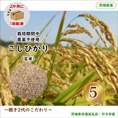 【2ヵ月毎定期便】【栽培期間中農薬不使用】こしひかり玄米5kg茨城県共通返礼品・行方市産全6回