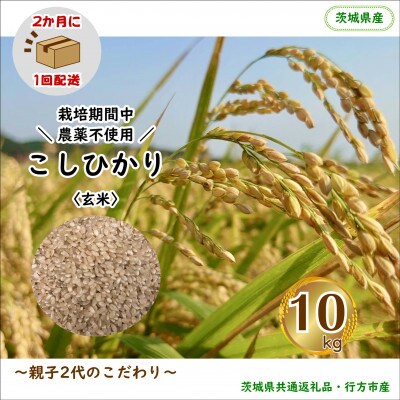 【2ヵ月毎定期便】【栽培期間中農薬不使用】こしひかり玄米10kg茨城県共通返礼品・行方市産全6回