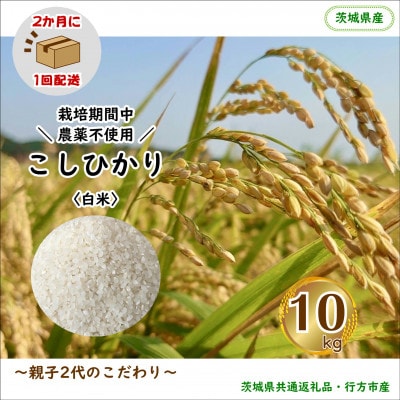 【2ヵ月毎定期便】【栽培期間中農薬不使用】こしひかり白米10kg茨城県共通返礼品・行方市産全6回