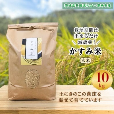 【毎月定期便】栽培期間中出来るだけ農薬を減らすかすみ米 玄米10kg茨城県共通返礼品潮来市産全12回