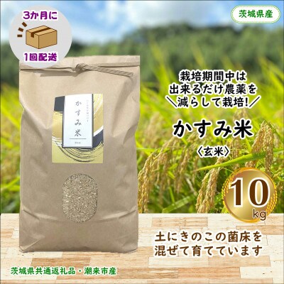 【3ヵ月毎定期便】栽培期間中出来るだけ農薬を減らすかすみ米玄米10kg茨城県共通返礼品潮来市産全3回