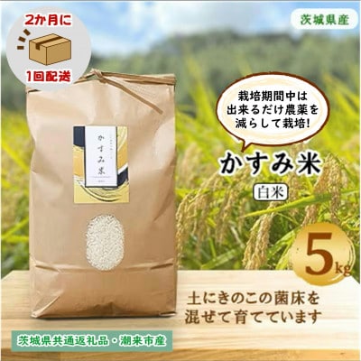 【2ヵ月毎定期便】栽培期間中出来るだけ農薬を減らす かすみ米白米5kg茨城県共通返礼品潮来市産全6回