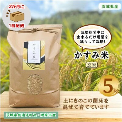 【2ヵ月毎定期便】栽培期間中出来るだけ農薬を減らす かすみ米玄米5kg茨城県共通返礼品潮来市産全6回