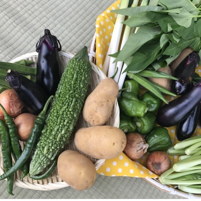 【発送月固定定期便】【ハーフサイズ】『身体が喜ぶ野菜』季節の詰め合わせ(おまかせ6～7品)全10回