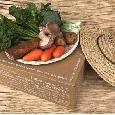 【発送月固定定期便】【ハーフサイズ】『身体が喜ぶ野菜』季節の詰め合わせ(おまかせ6～7品)全10回