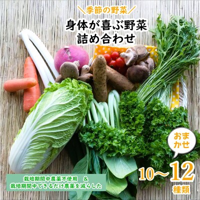 【発送月固定定期便】【上旬発送】『身体が喜ぶ野菜』季節の詰め合わせ(おまかせ10～12品)全10回