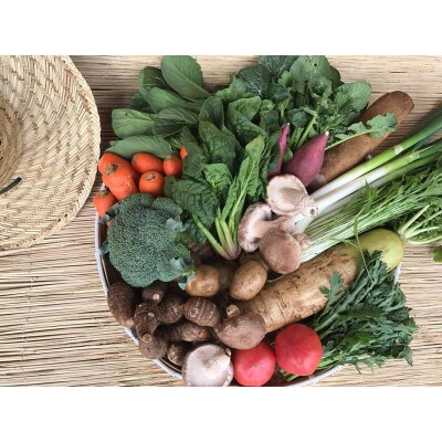 【発送月固定定期便】【上旬発送】『身体が喜ぶ野菜』季節の詰め合わせ(おまかせ10～12品)全10回