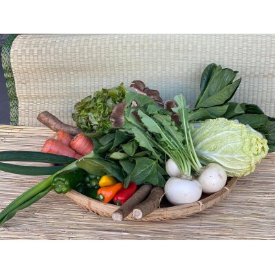 【発送月固定定期便】【上旬発送】『身体が喜ぶ野菜』季節の詰め合わせ(おまかせ10～12品)全10回