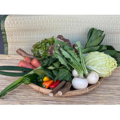 【発送月固定定期便】【下旬発送】『身体が喜ぶ野菜』季節の詰め合わせ(おまかせ10～12品)全10回