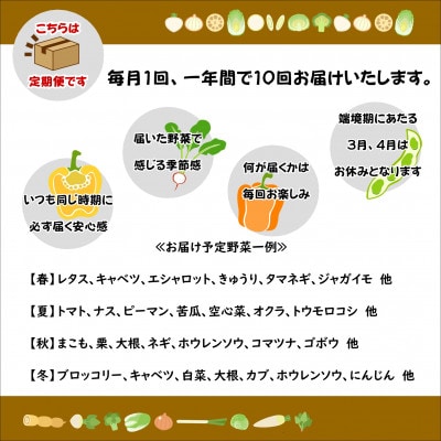 【発送月固定定期便】【下旬発送】『身体が喜ぶ野菜』季節の詰め合わせ(おまかせ10～12品)全10回