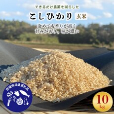 2023年3月発送開始『定期便』こしひかり玄米10kg【茨城県共通返礼品・行方市産】全3回