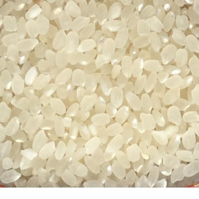 【令和6年産】オリジナルブランド米!はさき産コシヒカリ鈴穂(精米)5kg