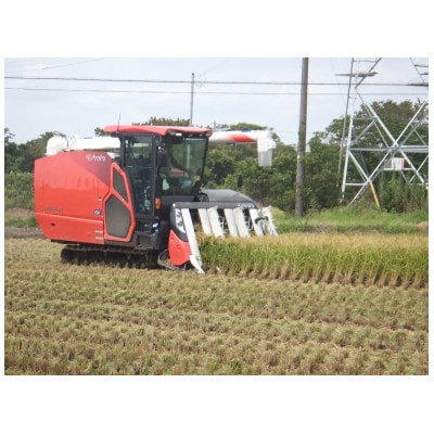 【令和6年産】オリジナルブランド米!はさき産コシヒカリ鈴穂(精米)2kg×2袋