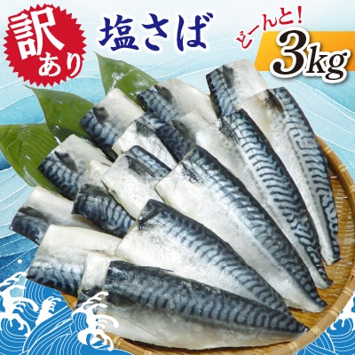 【訳あり】塩さば　どーんと!3kg