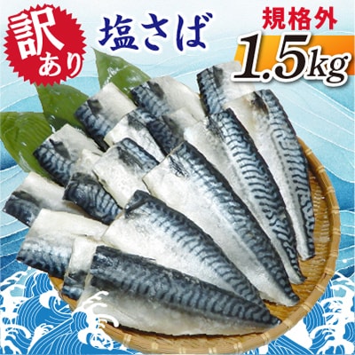 【訳あり】規格外　塩さば　1.5kg