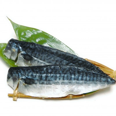 【訳あり】規格外　さば文化干し　1.5kg