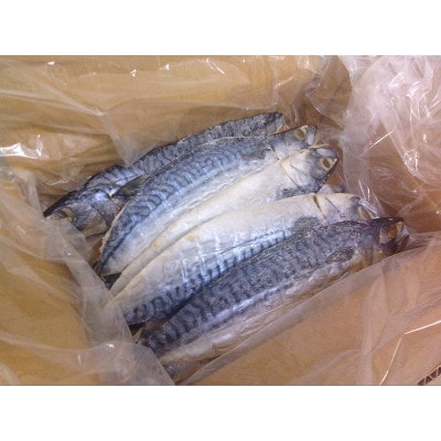 【訳あり】規格外　さば文化干し　1kg