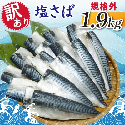 【訳あり】規格外　塩さば　1.9kg