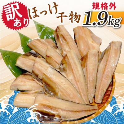 【訳あり】規格外　ほっけ干物　1.9kg