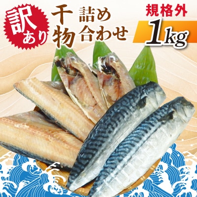 【訳あり】規格外　干物詰め合わせ　1kg
