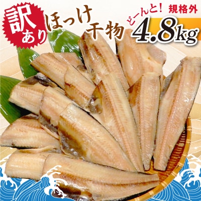 【訳あり】ほっけ干物　どーんと! 4.8kg