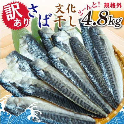【訳あり】さば文化干し　どーんと! 4.8kg