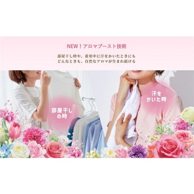 ソフラン ARダイアナ つめかえ 380ml×20個