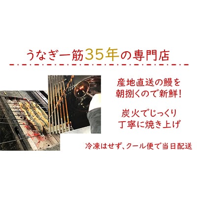 【大阪の名店】うなぎ白焼き160g～180g(1匹)+肝焼きセット