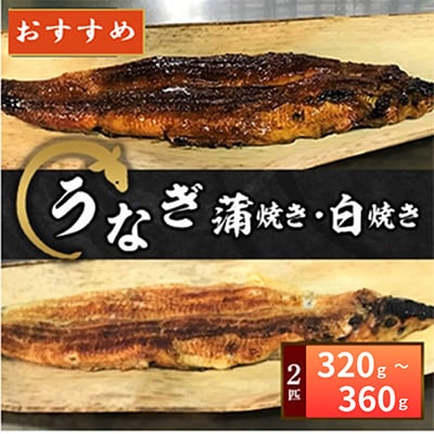【冷蔵2種各1匹】大阪の名店　うなぎ蒲焼き・白焼きセット(1匹あたり160g～180g)×2匹