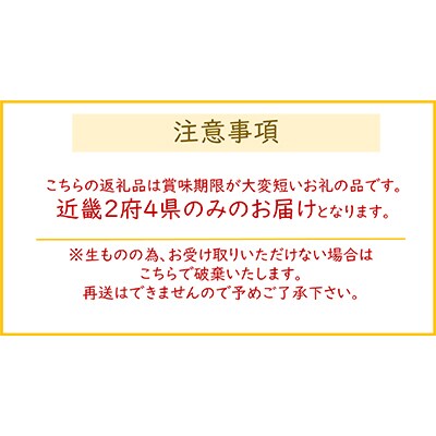【冷蔵2種各1匹】大阪の名店　うなぎ蒲焼き・白焼きセット(1匹あたり160g～180g)×2匹