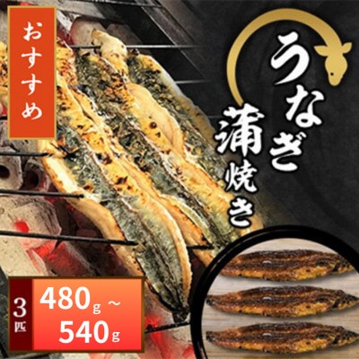 【冷凍3匹】大阪の名店　うなぎ蒲焼き(1匹あたり160g～180g)×3匹