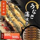 【冷凍5匹】大阪の名店　うなぎ蒲焼き(1匹あたり160g～180g)×5匹