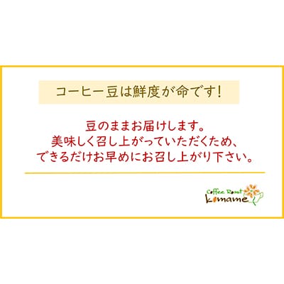 お家Cafeセット (ブルーマウンテンNo.1、エメラルドマウンテン)