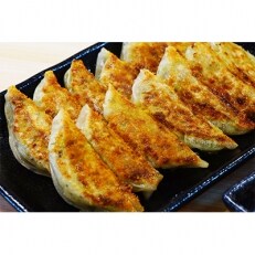 ひとくち餃子　小さなかわいいヤツ　63個入 | ふるさと納税のお礼品