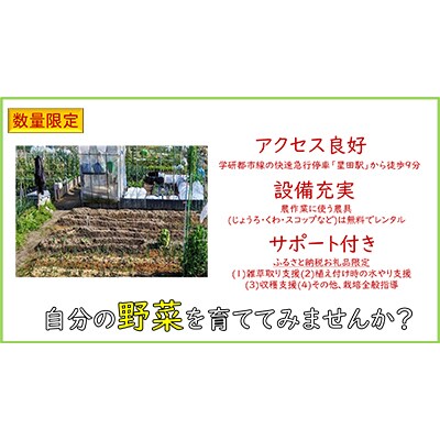 寝屋川農園「びお・やちゃい村」貸区画オーナー権(3坪・6か月間)