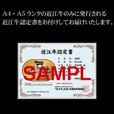 【毎月定期便】ハラル近江牛ウデスライス500g×全6回