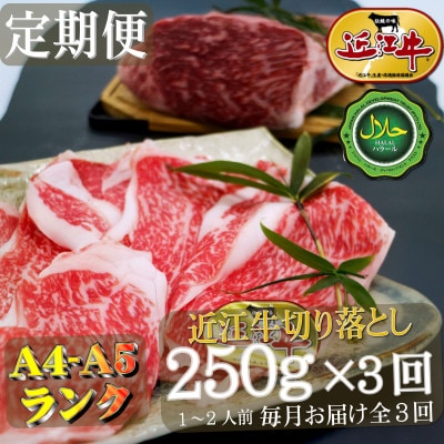 【毎月定期便】ハラル切り落とし250g×全3回
